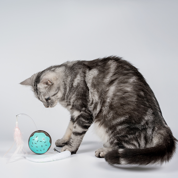 宠物玩具生产厂家