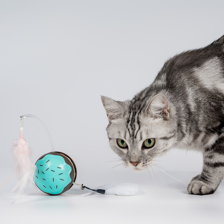 宠物玩具生产厂家